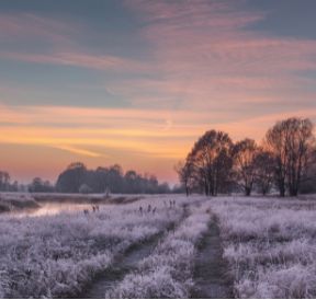 Bekijk Arrangementen