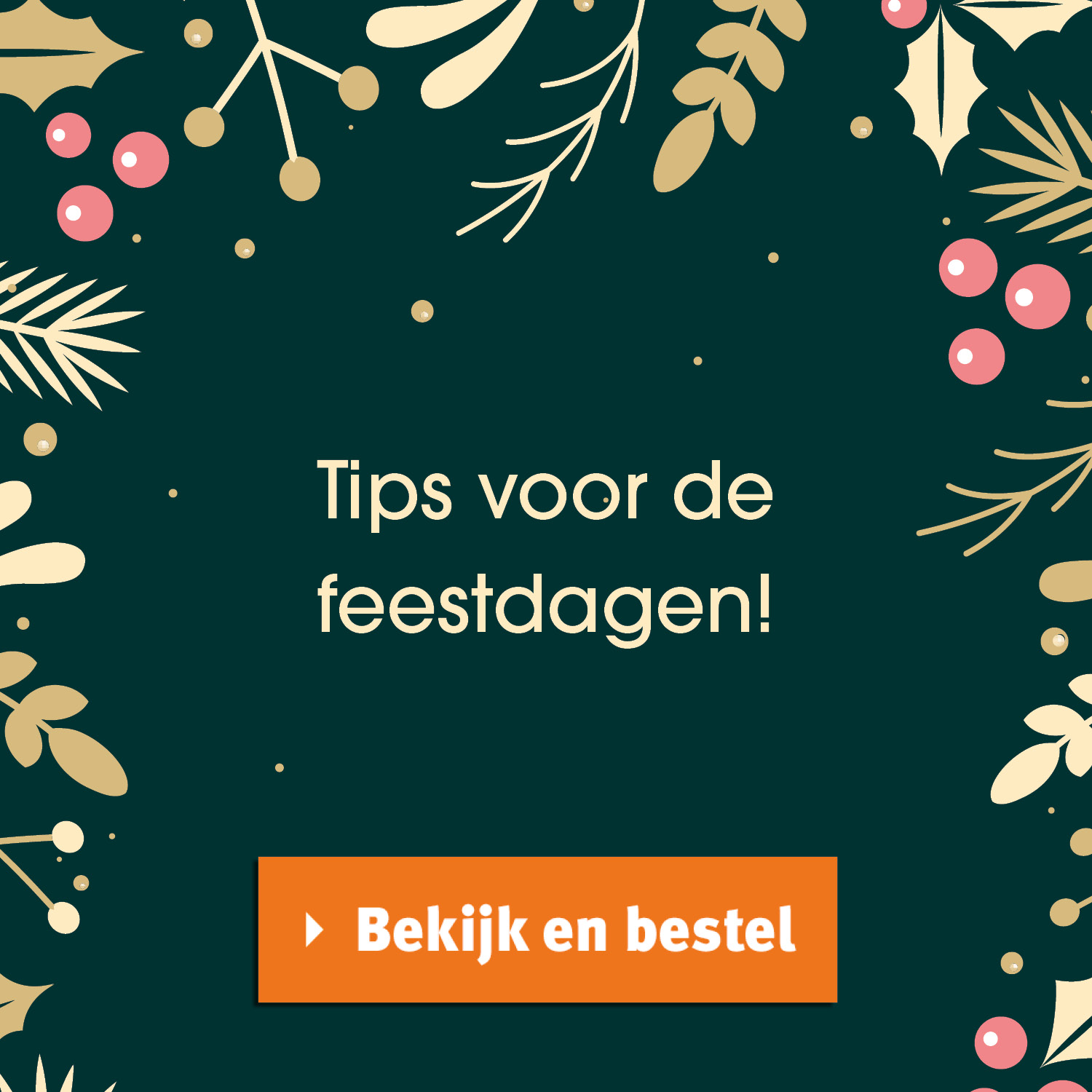 Haal nu uw cadeaus in huis!