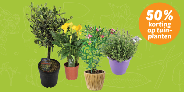 50% korting op tuinplanten