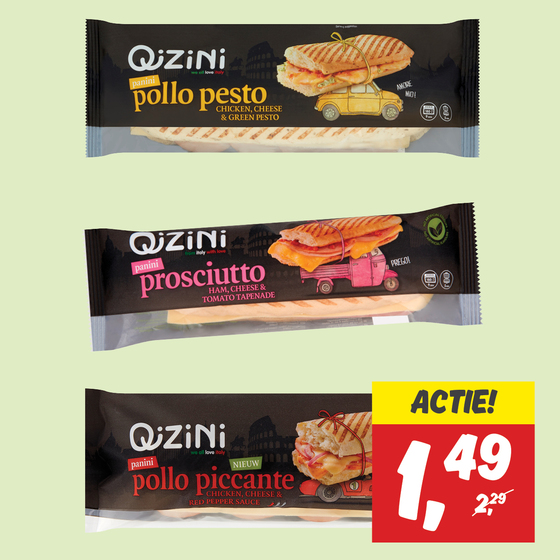 Qizini Panini