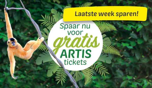 Laatste dagen: sparen voor ARTIS-tickets