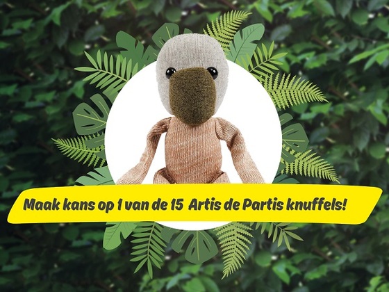 ARTIS winactie