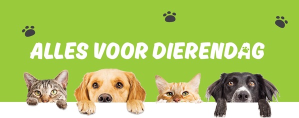 Dierendag