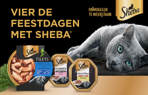 Campagne Sheba