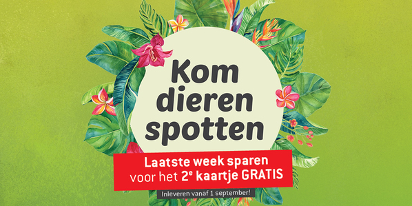 Kom dieren spotten