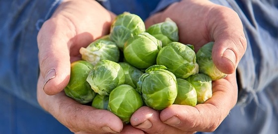 Spruitjes teler