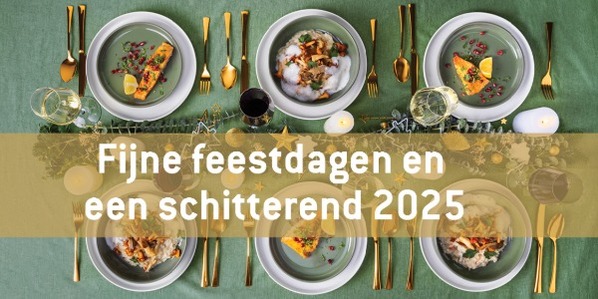 Fijne feestdagen en een schitterend 2025