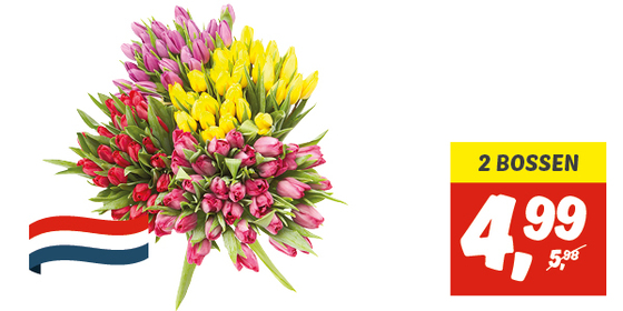 Hollandse tulpen