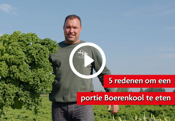 Telervideo: Boerenkool