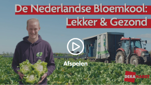 Bloemkool