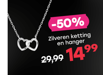 Zilveren ketting en hanger 2harten