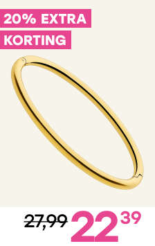 Stalen goldplated bangle