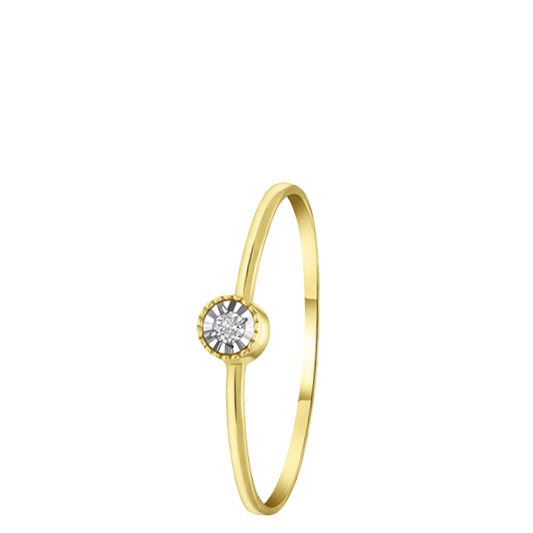 14k gouden ring solitair in rand diamant (0,025ct)