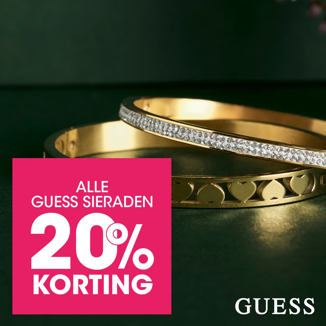 guess actie