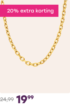 Stalen goldplated ketting chunky