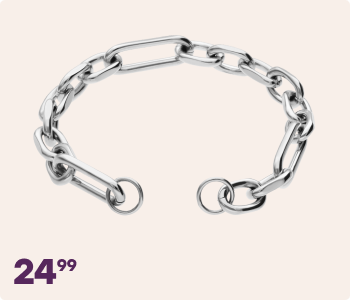 Stalen charm armband figaro