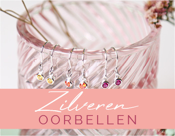 Zilveren oorbellen