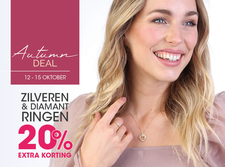 zilveren en diamant ringen