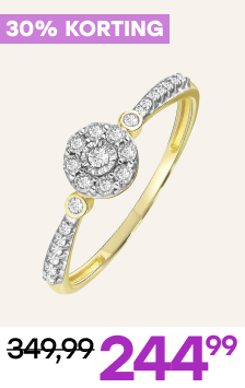 14 karaat geelgouden entourage ring 23 diamanten 0,10ct