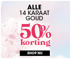 14 karaat sieraden