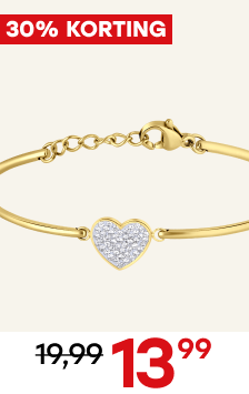 Stalen goldplated armband hart met kristal