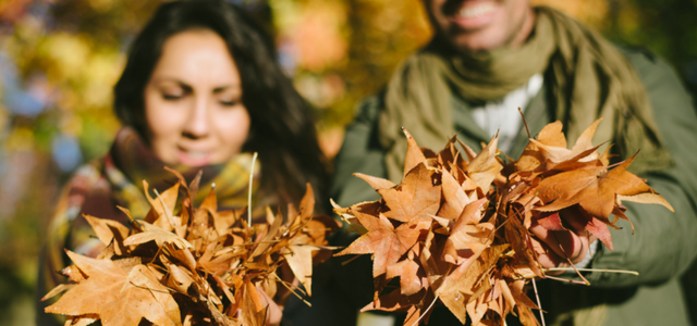 Der Herbst steht vor der Tür!