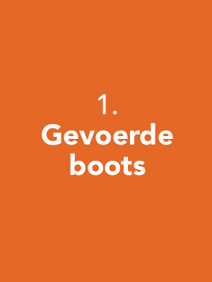 gevoerde boots