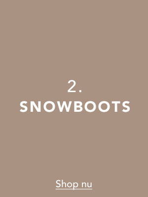 moonboots