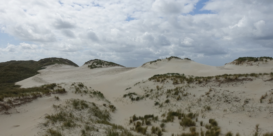 Stuivende duinen op Terschelling