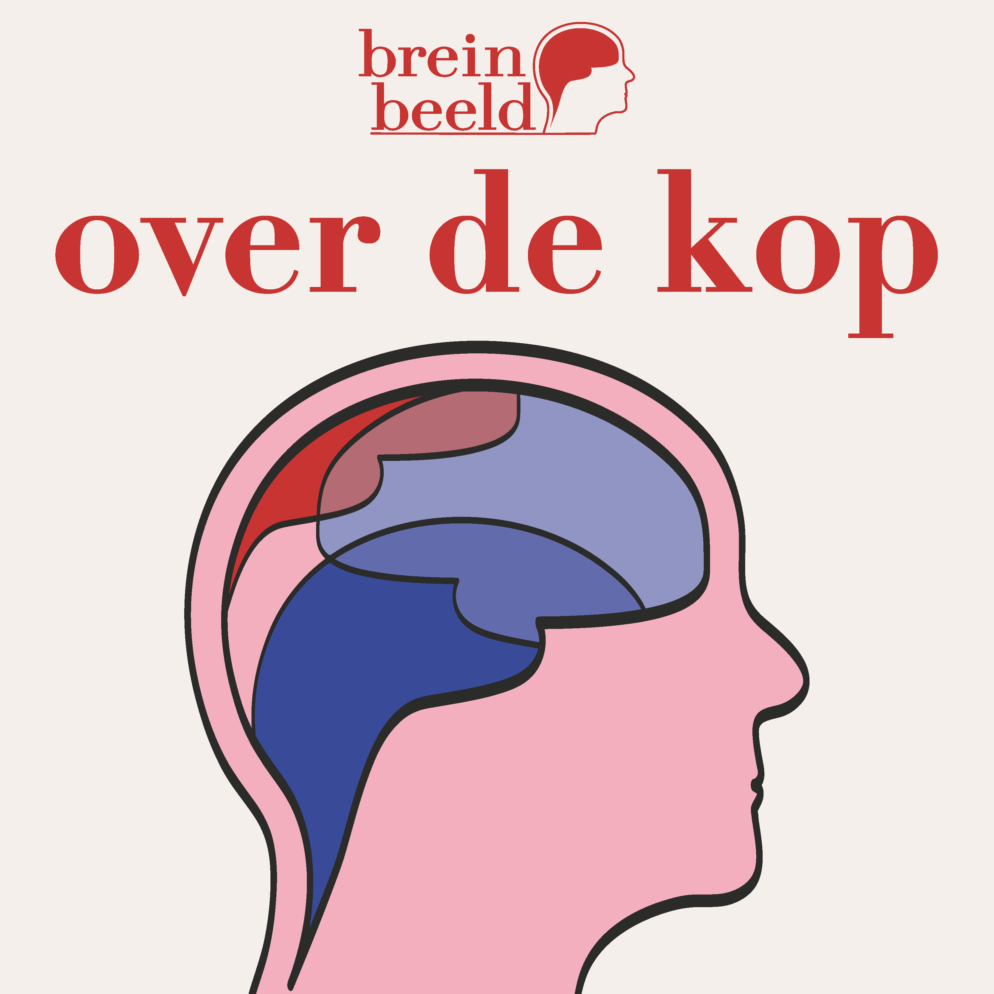 Tinka Louter'18, Evy Reinders'19, Roos Rikken'18, and Floris Tijhuis'19 produce Over De Kop podcast