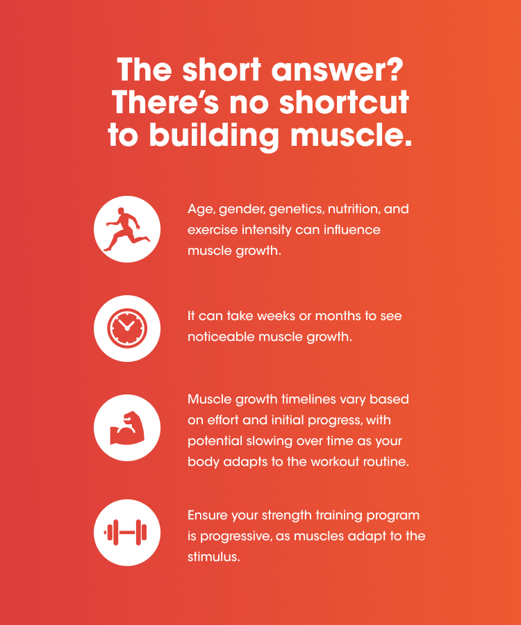 The short answer? There's no shortcut to building muscle. Age, gender, genetics, nutrition, and exercise intensity can influence muscle growth. It can take weeks or months to see noticeable muscle growth. Muscle growth timelines vary based on effort and initial progress, with potential slowing over time as your body adjusts to the workout routine. Ensure your strength training program is progressive, as muscles adapt to the stimulus.