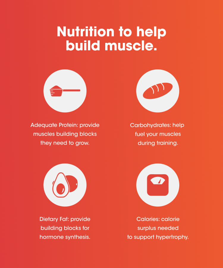 Nutrition to help build muscle. Adequate Protein: provide muscles building blocks they need to grow. Carbohydrates: help fuel your muscles during training. Dietary Fat: provide building blocks for hormone synthesis. Calories: calorie surplus needed to support hypertrophy. 