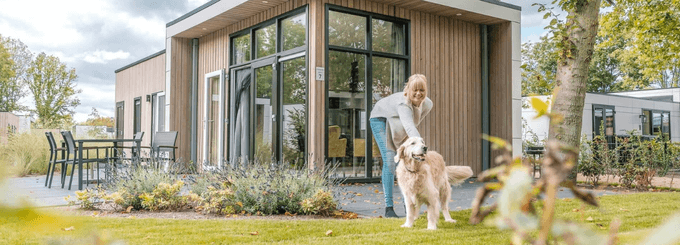 Samen met je hond op vakantie