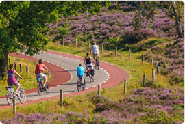 Veluwe