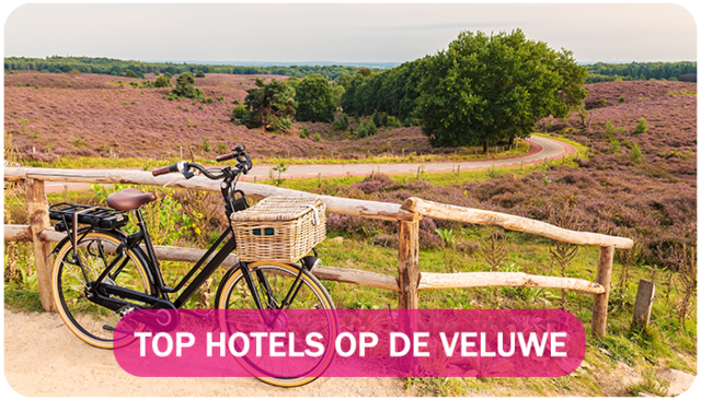 Top hotels op de Veluwe