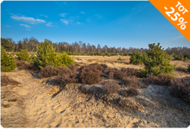 Mooi Veluwe