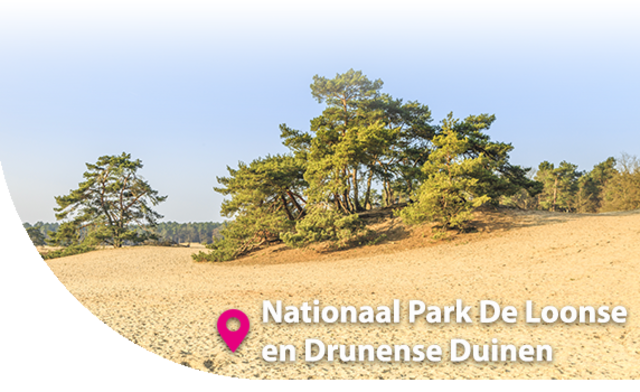 De Loonse en Drunense Duinen