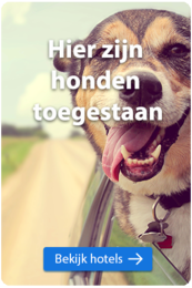 Neem je hond mee