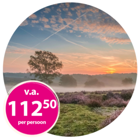 TIJDELIJKE MEGA DEAL! 4 dagen 4*-Van der Valk Hotel bij de Mookerheide en Nijmegen