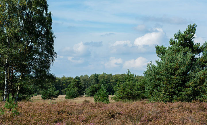 brabant-natuur