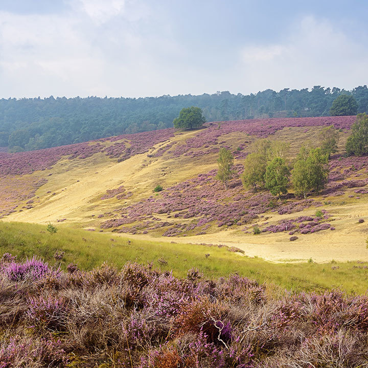 k4-veluwe