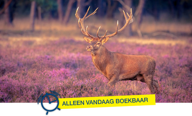 header-voordeel-vrijdag