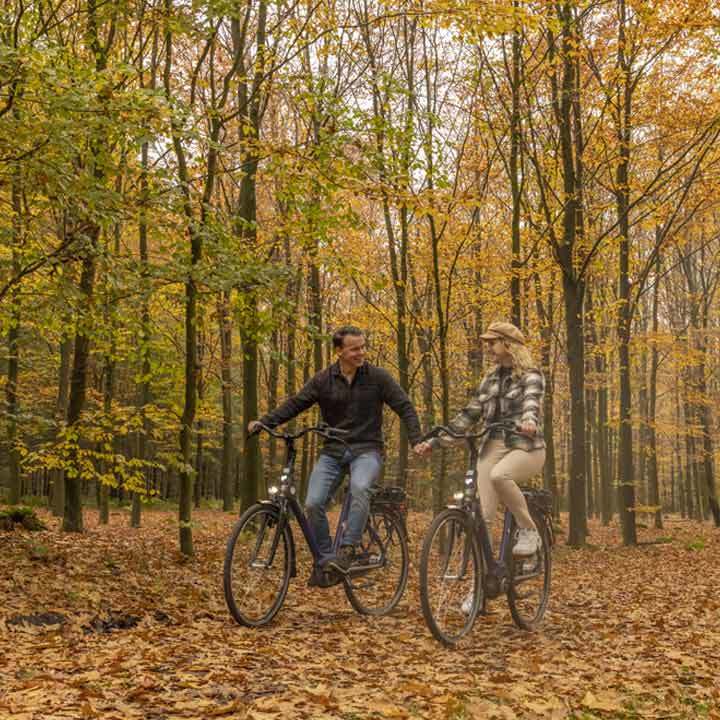 banner-hollandse-herfstweken