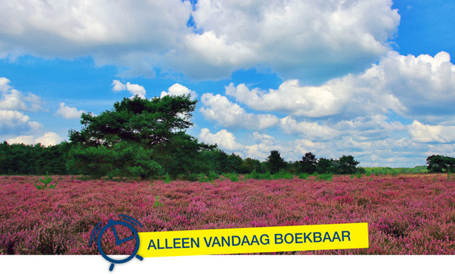 header-voordeel-vrijdag