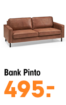 Bank Pinto 495.-