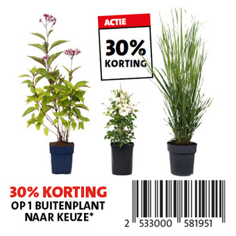 30% korting op 1 buitenplant naar keuze