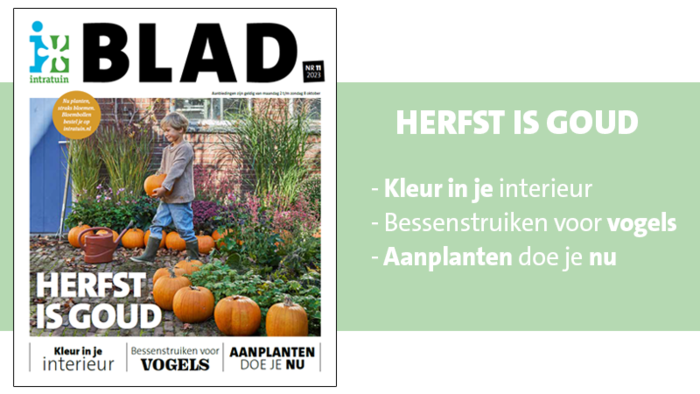 Alle tips & aanbiedingen vind je in ons magazine!