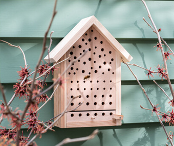 Stimuleer de biodiversiteit door de dieren in je tuin een handje te helpen.