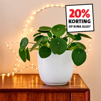 20% korting op Kamerplanten