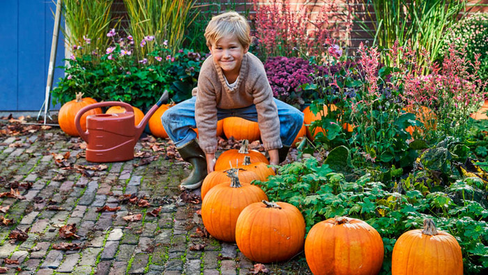 Griezelen met Halloween